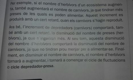 Xarxes trofiques