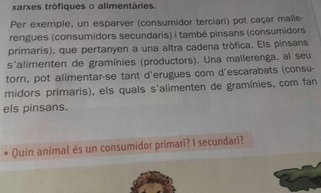 Seguim cadenes trofiques