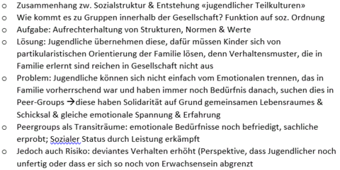 Strukturfunktionalismus in Jugend (Shmuel N. Eisenstadt)