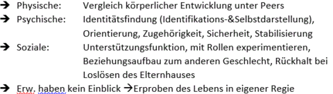 Sozialisatorische Bedeutung in Bezug auf… Dimension