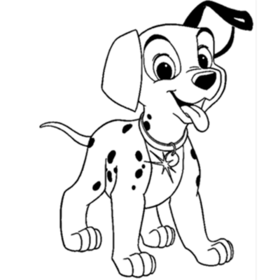 perro