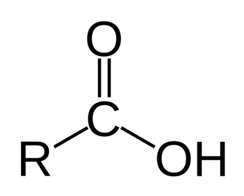 What is the basic structure of a fatty acid?