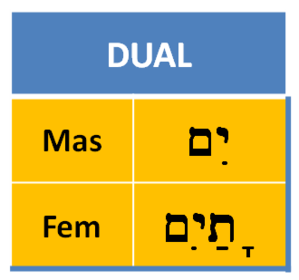 Sustantivos DUALES