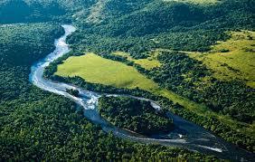 Mata Atlântica A Mata Atlântica apresenta uma variedade de formações, engloba um diversificado conjunto de ecossistemas florestais com es...