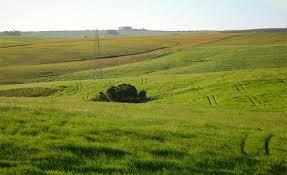 Bioma Pampa O Bioma Pampa é um dos mais belos tipos de paisagens naturais e está localizado na América do Sul e, no Brasil, em partes do ...