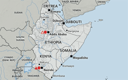 Label the countries in the horn of Africa and their capitals