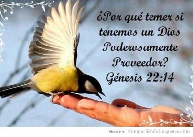 SATISFACCIÓN ECONÓMICA En la casa del justo hay gran provisión. Proverbios 15:6