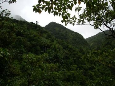 Patrimonio Natural Reservas de la Cordillera de Talamanca Costa Rica Centro América