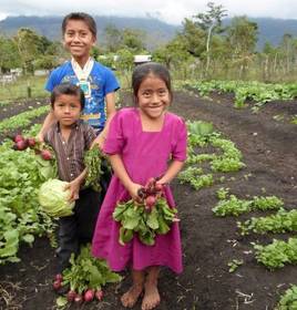 En Chiapas la pobreza y los movimientos sociales asociados a ella han obligado a las instituciones gubernamentales a canalizar recursos h...