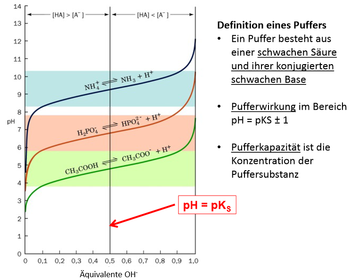 Titrationskurven schwacher Säuren