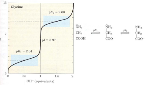 Säure‐Base‐Eigenschaften von Aminosäuren und Proteinen