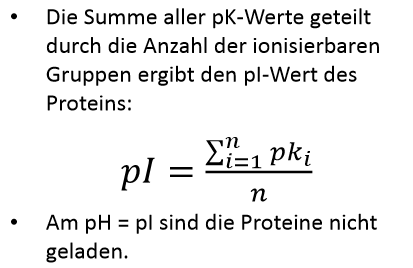 pI–charakteristisches Merkmal einer Proteinsequenz