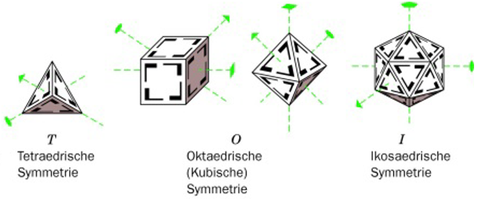 Quaternäre Strukturen ‐ andere Symmetrie