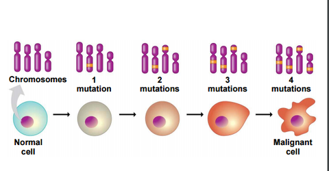The Progression of a Cancer