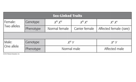Sex-linked traits