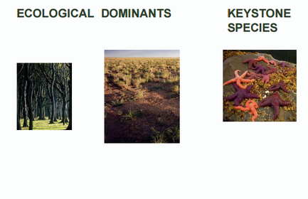 ECOLOGICAL COMMUNITY