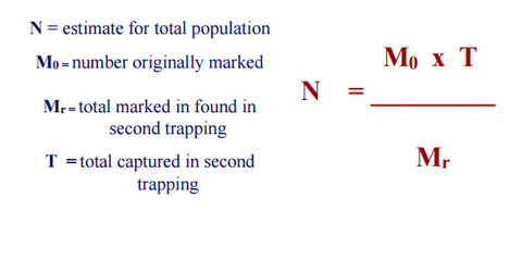 Mark and Recapture (formula)