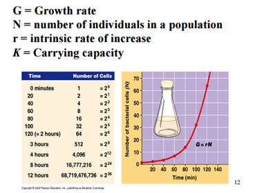 The Exponential Growth Model