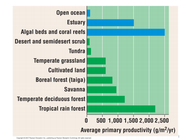 Productivity and the Energy Budgets of Ecosystems