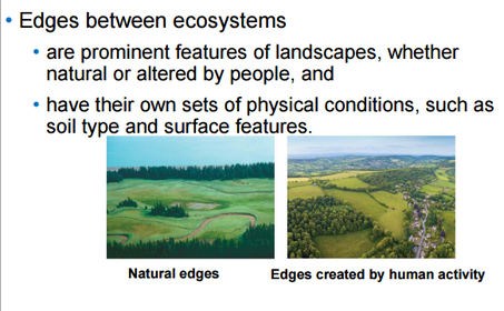Edges between ecosystems