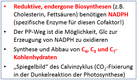 Pentosephosphatweg