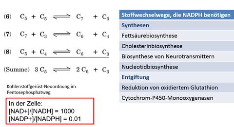 Pentosephosphatweg 2