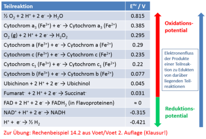 Standardreduktionspotentiale elektrochemischer Teilreaktionen in der Biochemie