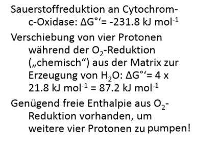 Cytochrom‐c‐Oxidase nutzt die Energie der Sauerstoffreduktion zum Pumpen von Protonen