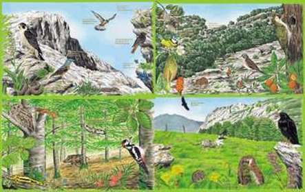 Ecosistema Terrestre