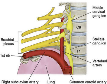 Name the structure being anesthetized: Location: