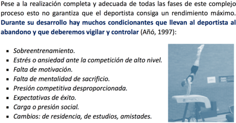 4. FORMACIÓN O DESARROLLO DEL TALENTO