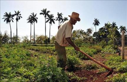 Farmer