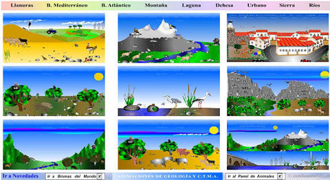 landforms