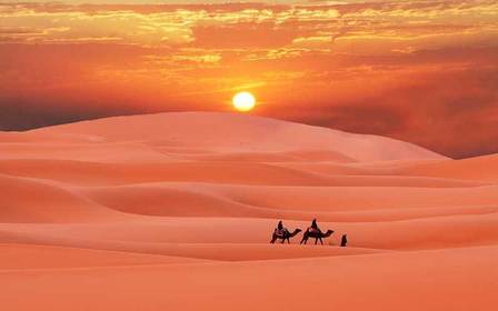 deserts