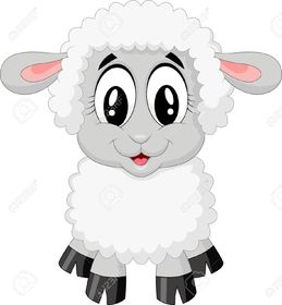 sheep