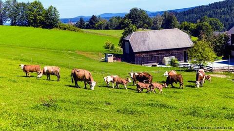 country