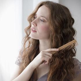 BRUSHES