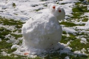 Melts Snow