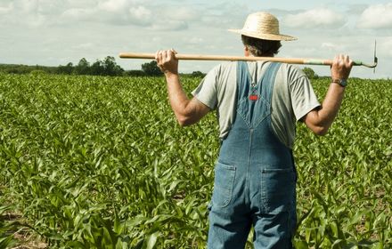 Farmer