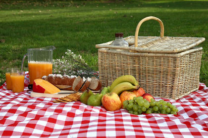 Picnic