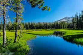 lakes