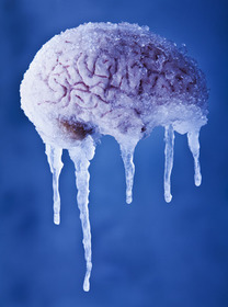 freeze