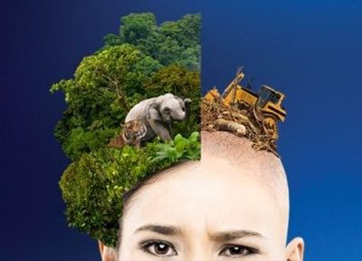 Didáctica desde el enfoque de la ecología formativa Como lo afirma Castañeda y Adell (2013): de un aprendizaje igual para todos a una per...
