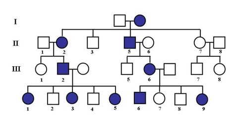 ÁRBOL GENEALÓGICO EN LA HERENCIA LIGADA AL X DOMINANTE