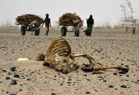HAMBRUNA: Escasez generalizada de alimentos en un país o zona geográfica, grave y dramático al afectar las tasas de mortalidad en una pob...