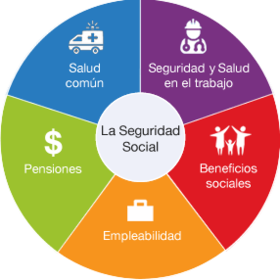 Seguridad social.
