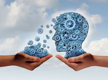 Principios en el modelo de competencias