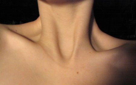neck