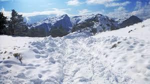 snow