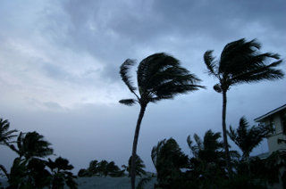 wind